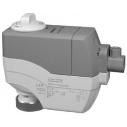 SSC31