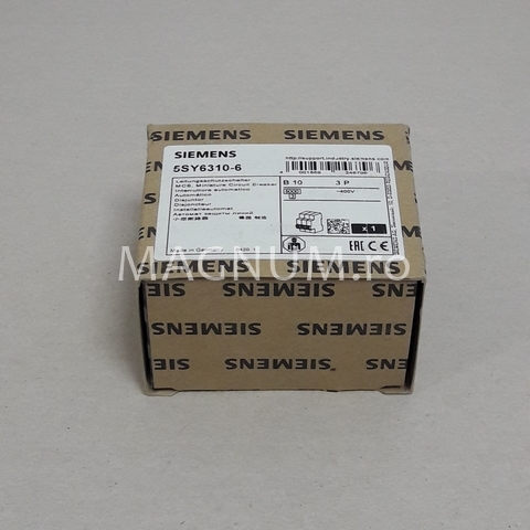 5SY6310-6